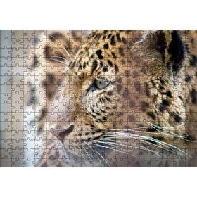 Cakapuzzle Muhteşem Güzellikteki Leopar Yakın Çekim 120 Parça Ahşap Puzzle