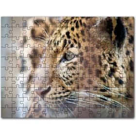 Cakapuzzle Muhteşem Güzellikteki Leopar Yakın Çekim Mdf 500 Parça Puzzle