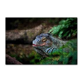Cakapuzzle Muhteşem Renkleriyle Iguana 255 Parça Puzzle