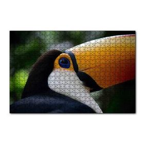Cakapuzzle Muhteşem Renkleriyle Tukan Kuşu 120 Parça Ahşap Puzzle