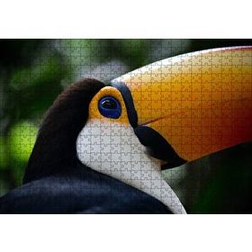 Cakapuzzle Muhteşem Renkleriyle Tukan Kuşu 120 Parça Ahşap Puzzle