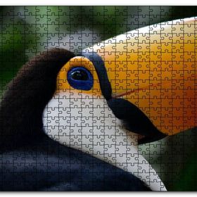 Cakapuzzle Muhteşem Renkleriyle Tukan Kuşu Mdf 1000 Parça Puzzle