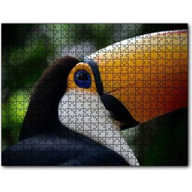 Cakapuzzle Muhteşem Renkleriyle Tukan Kuşu Mdf 500 Parça Puzzle