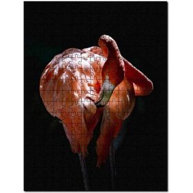 Cakapuzzle Muhteşem Renkli Tüyleriyle Flamingo Mdf 500 Parça Puzzle