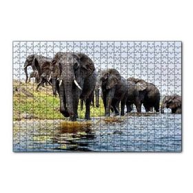 Cakapuzzle Nehir Kenarında Filler 120 Parça Ahşap Puzzle