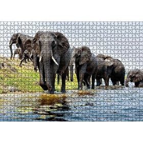 Cakapuzzle Nehir Kenarında Filler 120 Parça Ahşap Puzzle
