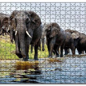 Cakapuzzle Nehir Kenarında Filler Mdf 120 Parça Puzzle