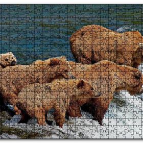 Cakapuzzle Nehir Kıyısındaki Boz Ayılar Mdf 1000 Parça Puzzle