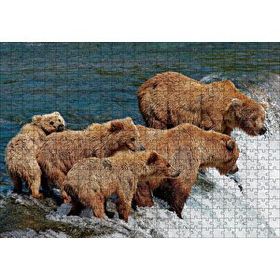 Cakapuzzle Nehir Kıyısındaki Boz Ayılar Mdf 500 Parça Puzzle