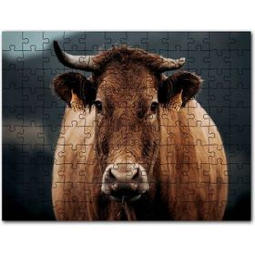 Cakapuzzle Neuschwanstein Masal Kalesi Almanya Mdf 255 Parça Puzzle