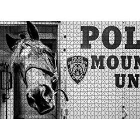 Cakapuzzle New York Polis Departmanı'nın Emektar Üyesi Puzzle