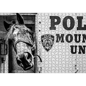 Cakapuzzle New York Polis Departmanı'nın Emektar Üyesi Puzzle