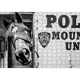 Cakapuzzle New York Polis Departmanı'nın Emektar Üyesi Puzzle