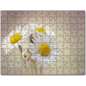 Cakapuzzle Ölülerin Günü Kadın Çiçekler ve Kelebekler 1000 Parça Puzzle