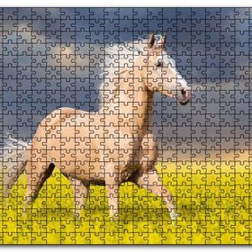 Cakapuzzle Oprak Rengi At Çiçekler Arasında Koşarken Görsel Mdf 1000 Parça Puzzle