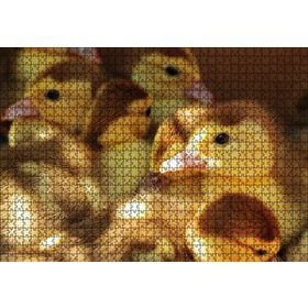 Cakapuzzle Ördek Yavruları 120 Parça Ahşap Puzzle