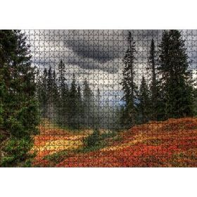 Cakapuzzle Orman Kara Bulutlar Turuncu Çiçekler 120 Parça Ahşap Puzzle