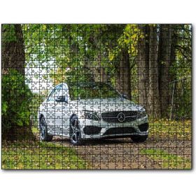 Cakapuzzle Orman Patikası ve Gri Mercedes Mdf 500 Parça Puzzle