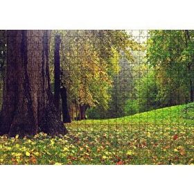 Cakapuzzle Orman ve Çimler Doğa Ahşap 500 Parça Puzzle
