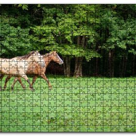 Cakapuzzle Orman Yeşil Çayırlar ve Bir Çift At Mdf 500 Parça Puzzle