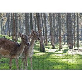 Cakapuzzle Orman Yeşil çimler ve İki Dişi Geyik 120 Parça Ahşap Puzzle