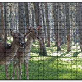 Cakapuzzle Orman Yeşil Çimler ve İki Dişi Geyik Mdf 120 Parça Puzzle