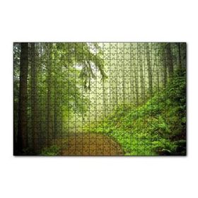 Cakapuzzle Orman Yolu Puslu 120 Parça Ahşap Puzzle