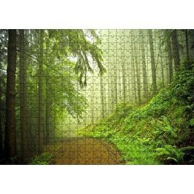 Cakapuzzle Orman Yolu Puslu 120 Parça Ahşap Puzzle