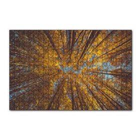 Cakapuzzle Orman Zeminden Yukarı Bakış Sarı Ağaçlar 120 Parça Ahşap Puzzle