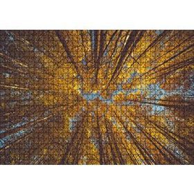 Cakapuzzle Orman Zeminden Yukarı Bakış Sarı Ağaçlar 120 Parça Ahşap Puzzle