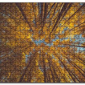 Cakapuzzle Orman Zeminden Yukarı Bakış Sarı Ağaçlar Mdf 1000 Parça Puzzle