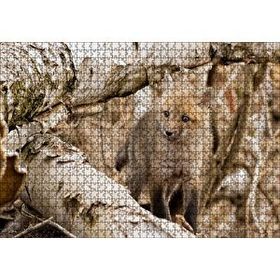 Cakapuzzle Ormanda Ağaçlar Arasındaki Yavru Tilki 120 Parça Ahşap Puzzle