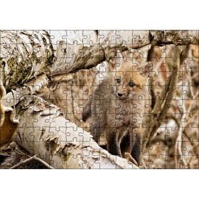 Cakapuzzle Ormanda Ağaçlar Arasındaki Yavru Tilki 120 Parça Ahşap Puzzle