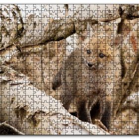 Cakapuzzle Ormanda Ağaçlar Arasındaki Yavru Tilki Mdf 1000 Parça Puzzle
