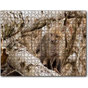 Cakapuzzle Ormanda Ağaçlar Arasındaki Yavru Tilki Mdf 1000 Parça Puzzle