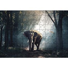 Cakapuzzle Ormanda Fil 120 Parça Ahşap Puzzle