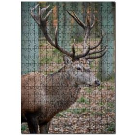 Cakapuzzle Ormanda Ren Geyiği Mdf 1000 Parça Puzzle
