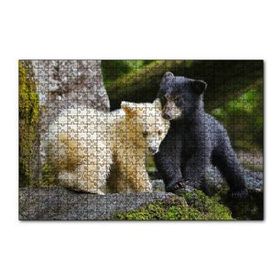 Cakapuzzle Ormanda Sarı Ve Siya Ayı Yavruları Görseli 120 Parça Ahşap Puzzle