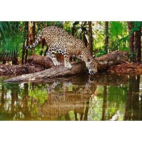 Cakapuzzle Ormanda Su İçen Leopar Görseli 120 Parça Ahşap Puzzle
