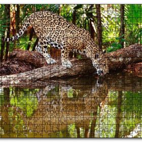 Cakapuzzle Ormanda Su İçen Leopar Görseli Mdf 1000 Parça Puzzle