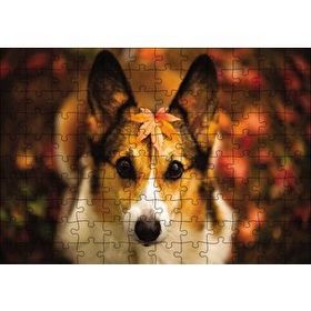 Cakapuzzle Ormanda Yapraklı Köpek 120 Parça Ahşap Puzzle