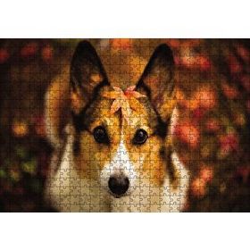 Cakapuzzle Ormanda Yapraklı Köpek 120 Parça Ahşap Puzzle