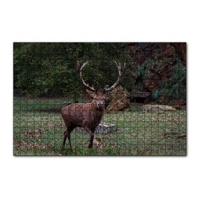 Cakapuzzle Ormandaki Erkek Geyik 120 Parça Ahşap Puzzle