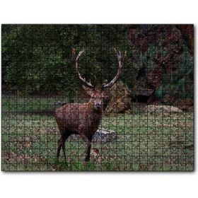 Cakapuzzle Ormandaki Erkek Geyik 120 Parça Puzzle