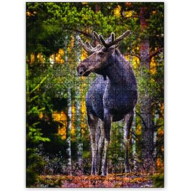 Cakapuzzle Ormandaki Geyik 500 Parça Puzzle