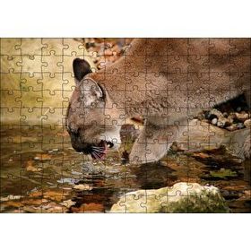 Cakapuzzle Ormandaki Puma Derede Su İçerken Görseli 120 Parça Ahşap Puzzle