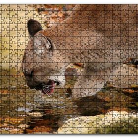 Cakapuzzle Ormandaki Puma Derede Su İçerken Görseli Mdf 1000 Parça Puzzle
