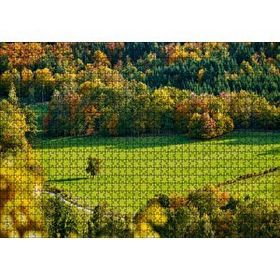 Cakapuzzle Ormanın Ortasındaki Yemyeşil Arazi Yalnız Ağaç Mdf 1000 Parça Puzzle