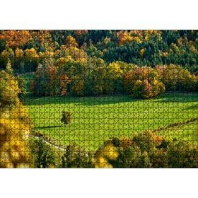 Cakapuzzle Ormanın Ortasındaki Yemyeşil Arazi Yalnız Ağaç Mdf 1000 Parça Puzzle