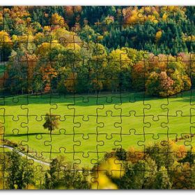 Cakapuzzle Ormanın Ortasındaki Yemyeşil Arazi Yalnız Ağaç Mdf 255 Parça Puzzle